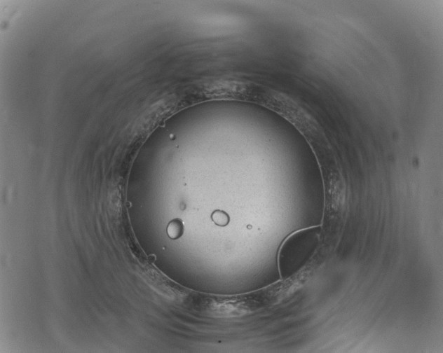 X0000072500753200607211249