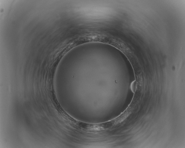 X0000072500754200607211249