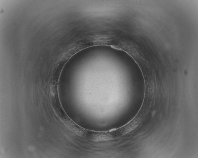 X0000072500755200607211249