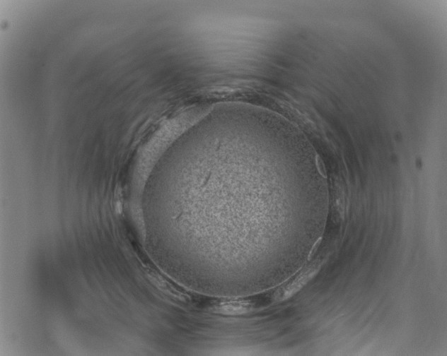 X0000072500758200607211249