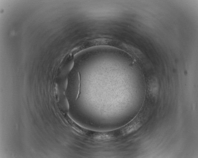 X0000072500759200607211249