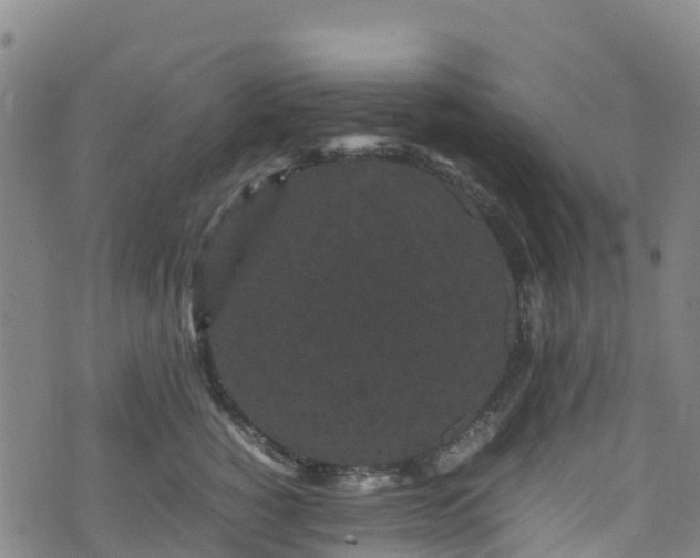 X0000072500760200607211249