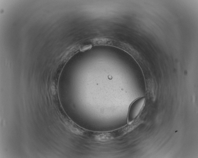 X0000072500761200607211249