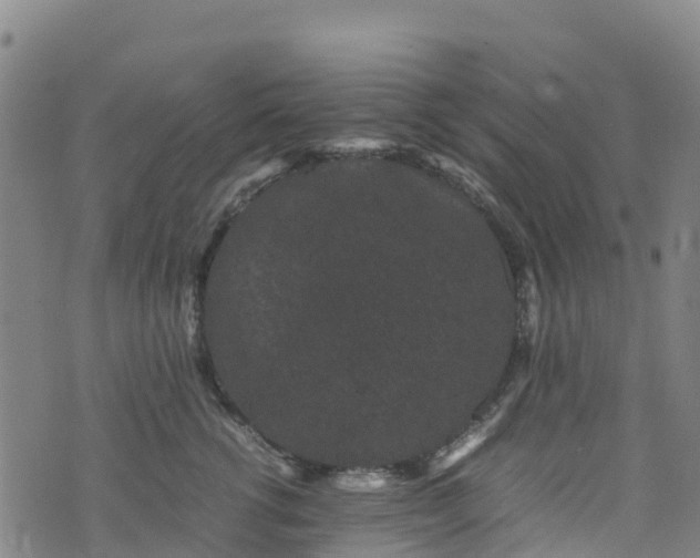 X0000072500762200607211249