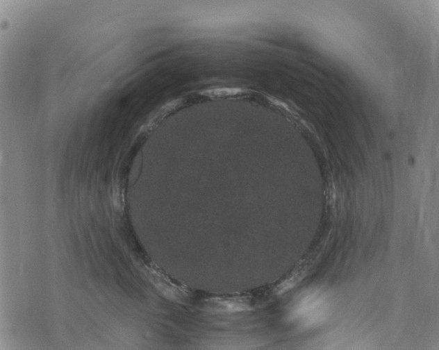 X0000072500763200607211249