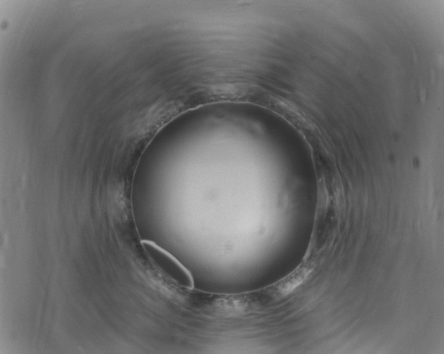 X0000072500764200607211249