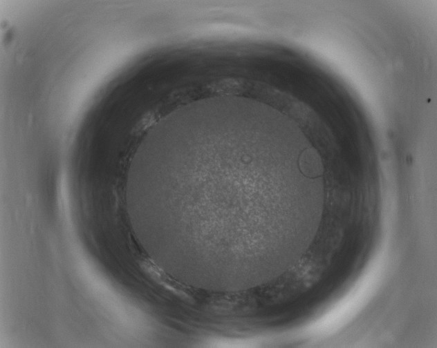 X0000072500765200607211249