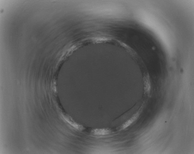 X0000072500766200607211249