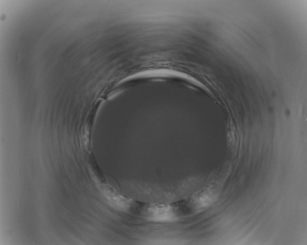 X0000072500767200607211249