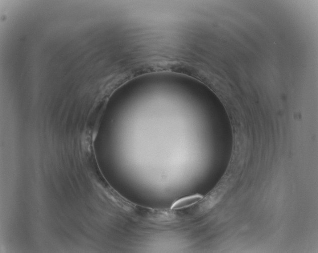 X0000072500768200607211249