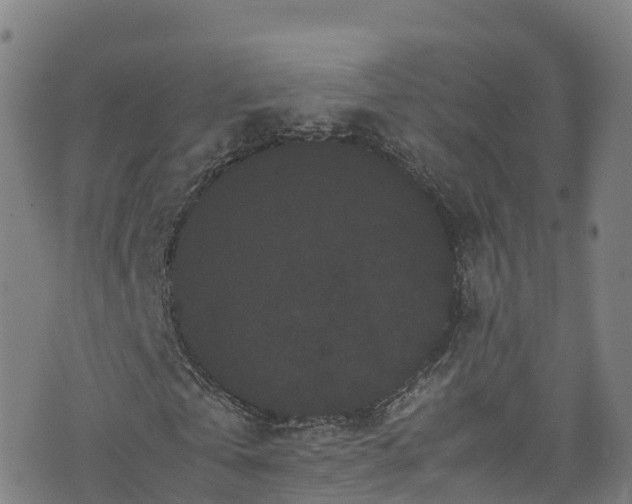 X0000072500769200607211248