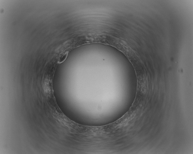 X0000072500770200607211248