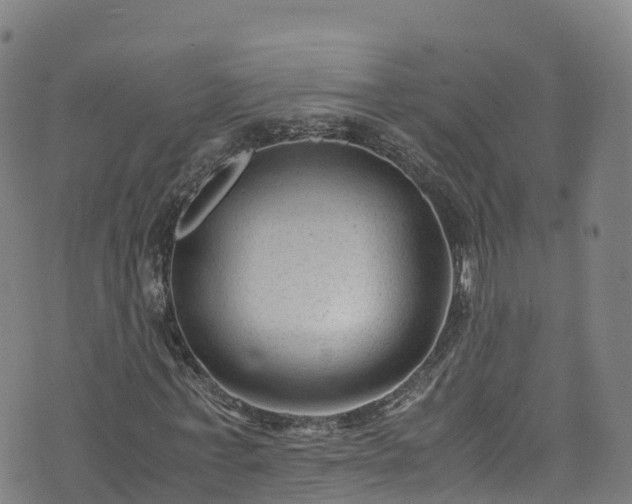 X0000072500771200607211248