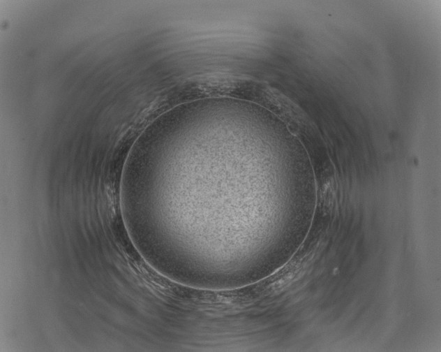 X0000072500772200607211248