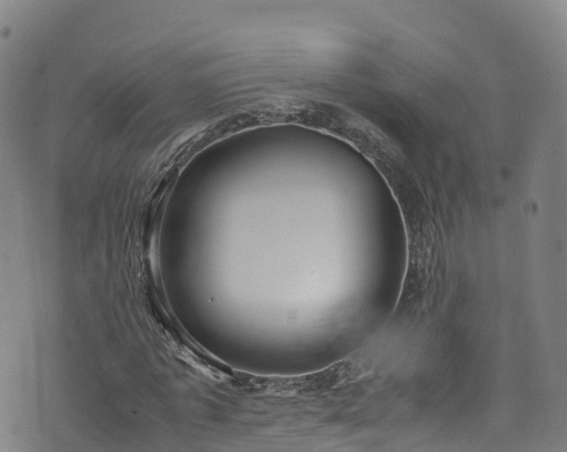 X0000072500773200607211248