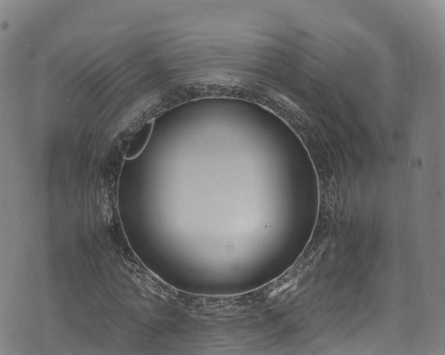 X0000072500774200607211248