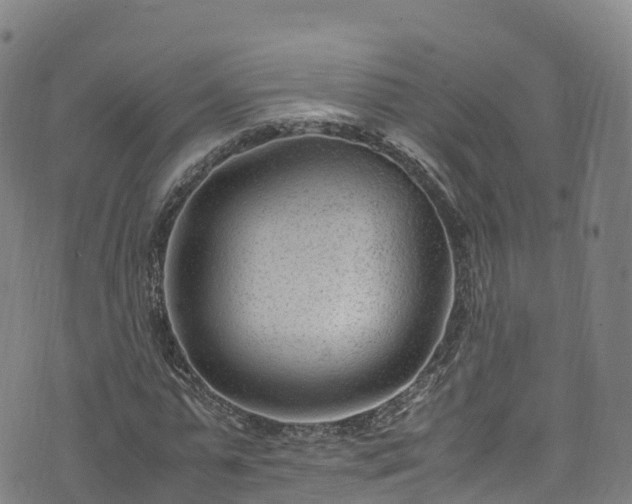 X0000072500775200607211248