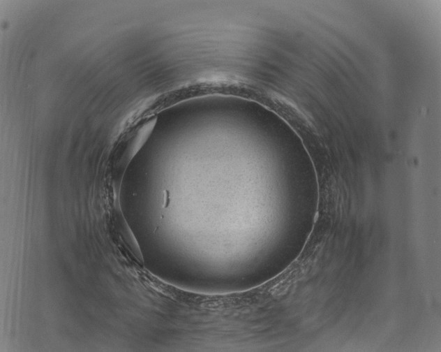 X0000072500776200607211248