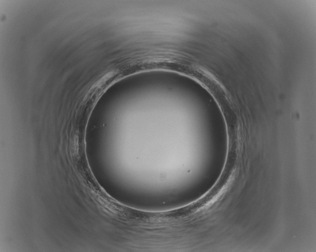 X0000072500777200607211248