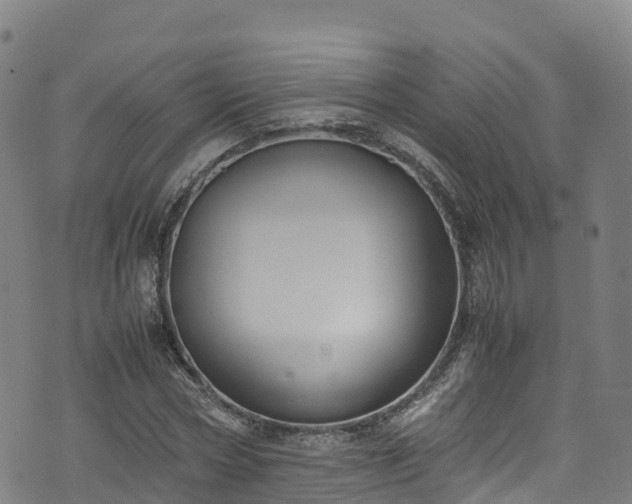 X0000072500778200607211248