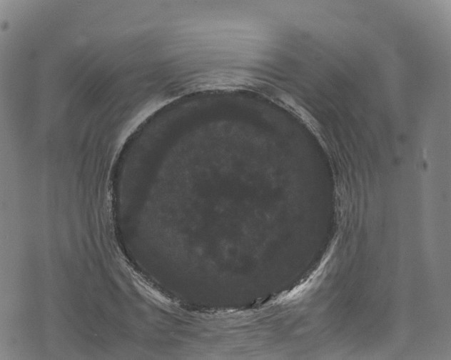 X0000072500779200607211248