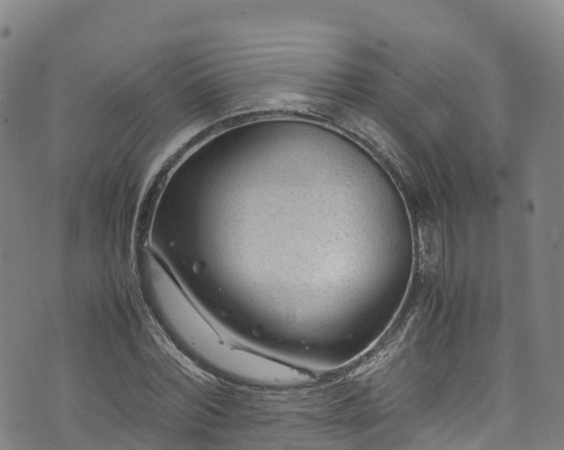 X0000072500780200607211248