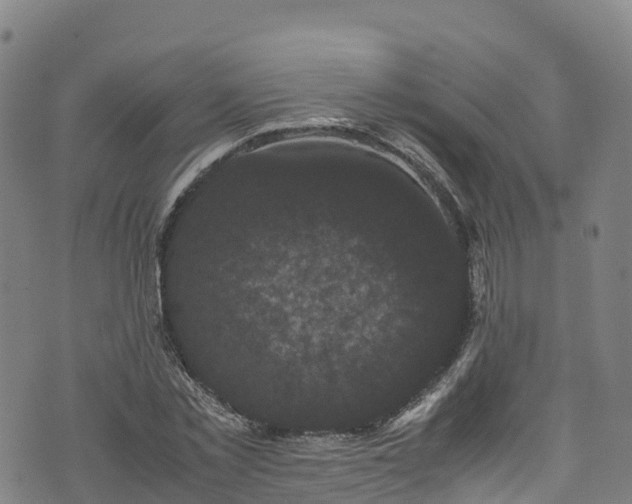 X0000072500781200607211248