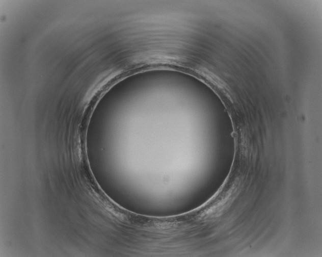 X0000072500782200607211248