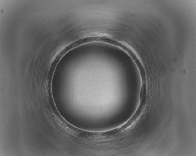 X0000072500783200607211248