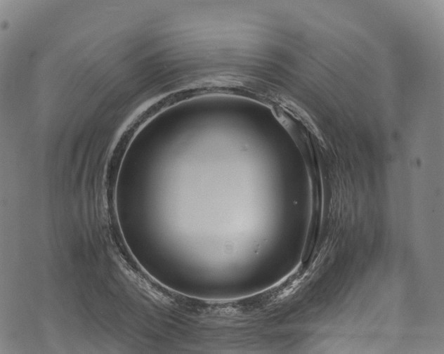 X0000072500784200607211248