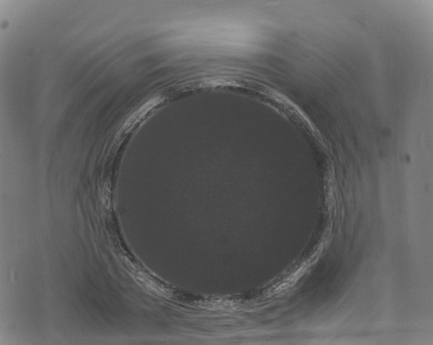 X0000072500785200607211248