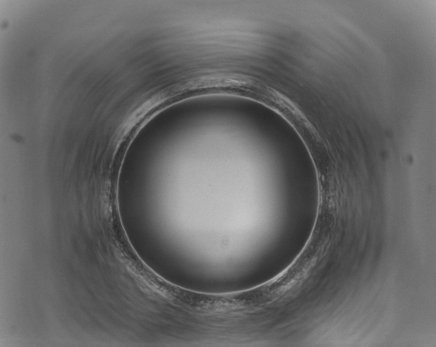 X0000072500786200607211248