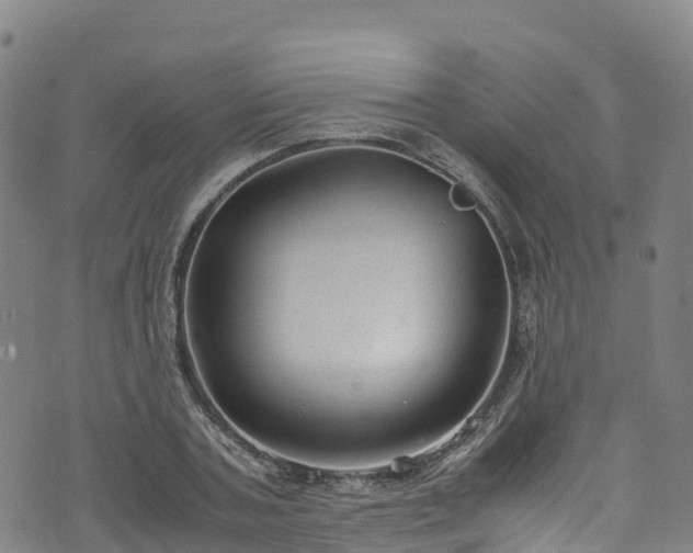 X0000072500787200607211248