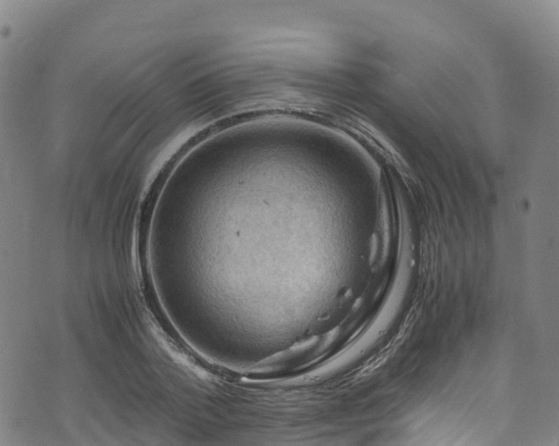 X0000072500788200607211248