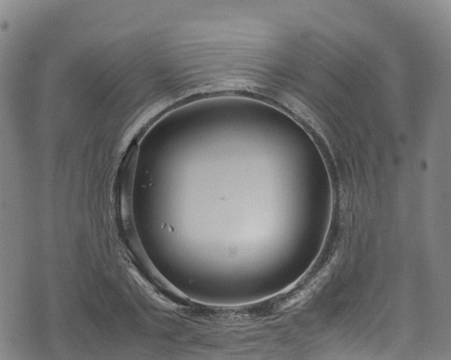 X0000072500789200607211248