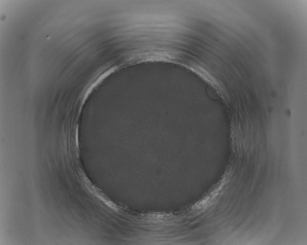 X0000072500790200607211248