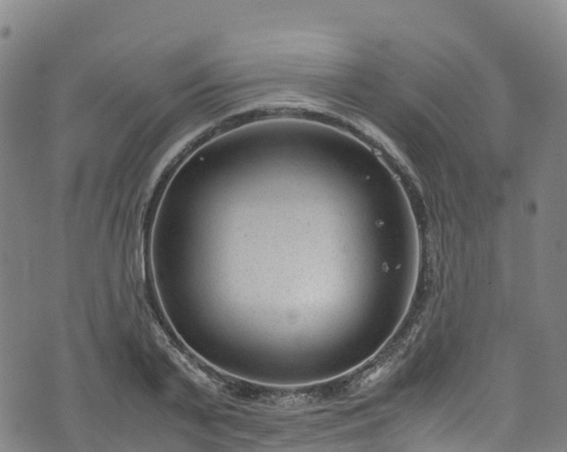 X0000072500791200607211248