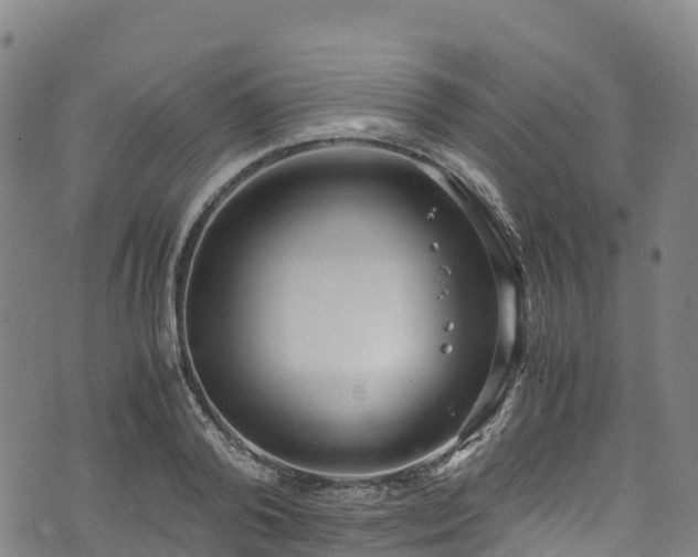 X0000072500792200607211248