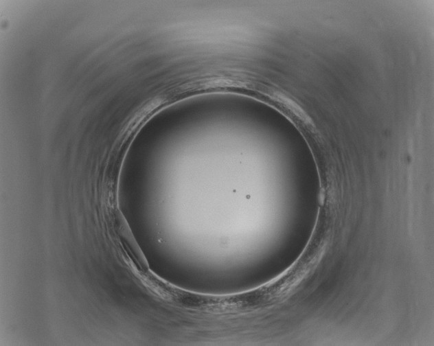 X0000072500793200607211248