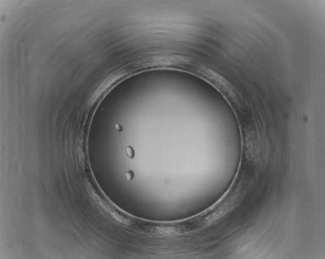 X0000072500794200607211248