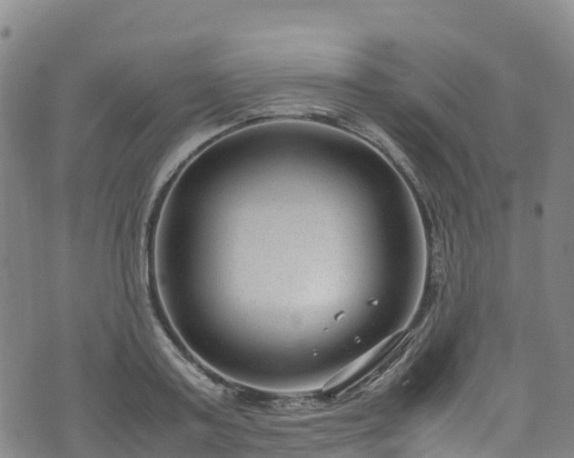 X0000072500795200607211248