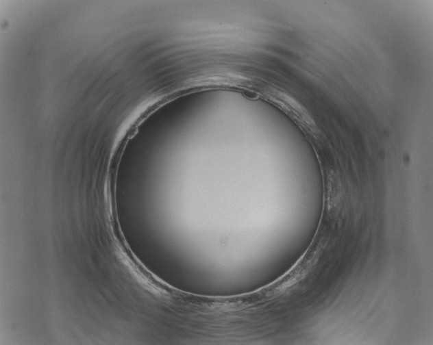 X0000072500796200607211248