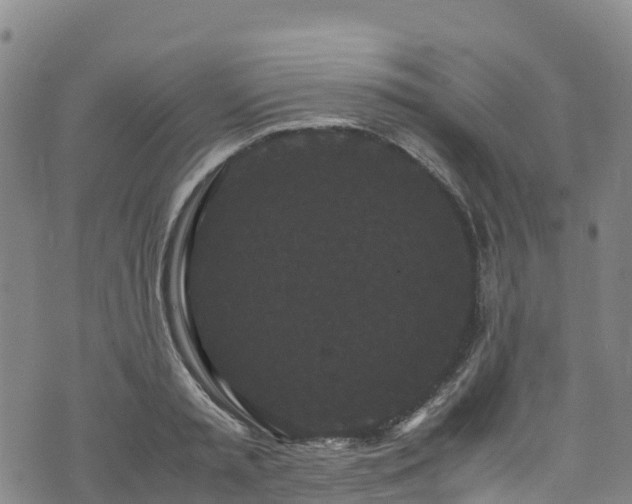 X0000072500797200607211248