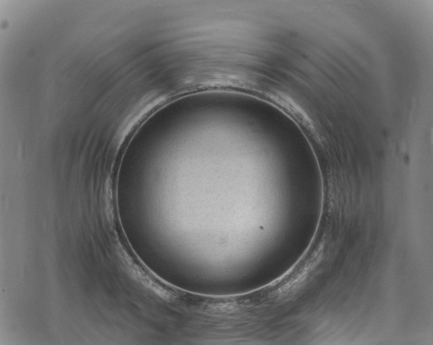 X0000072500798200607211248