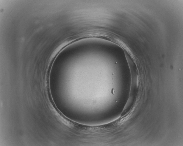 X0000072500803200607211248