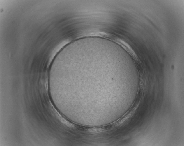 X0000072500804200607211248