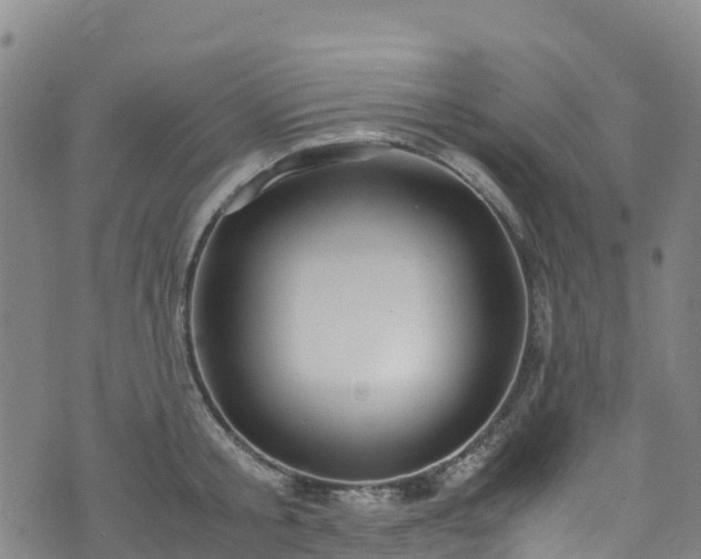 X0000072500805200607211248