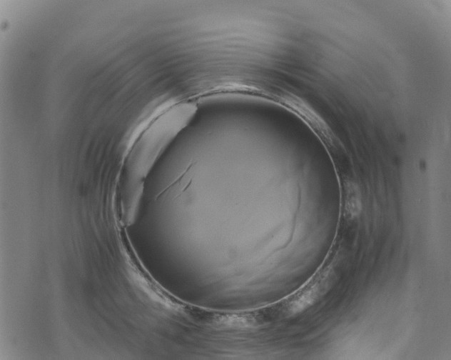 X0000072500806200607211248