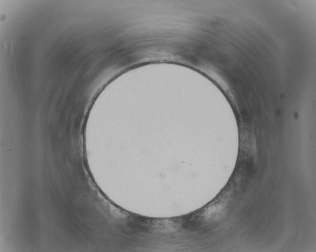 X0000072500807200607211248