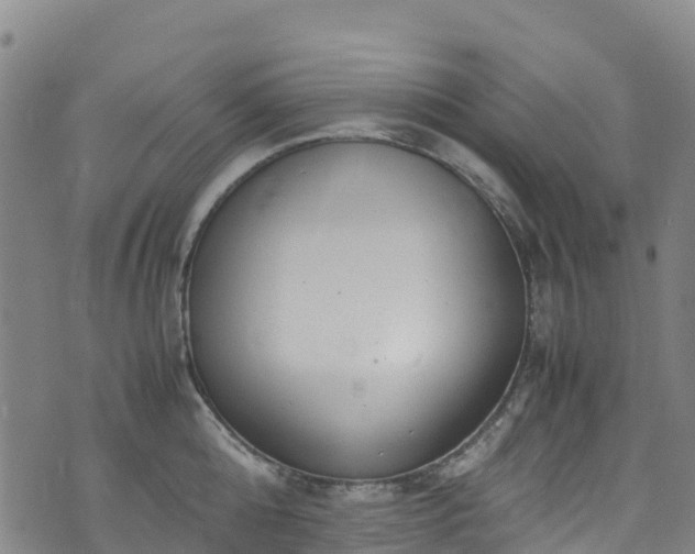 X0000072500808200607211248